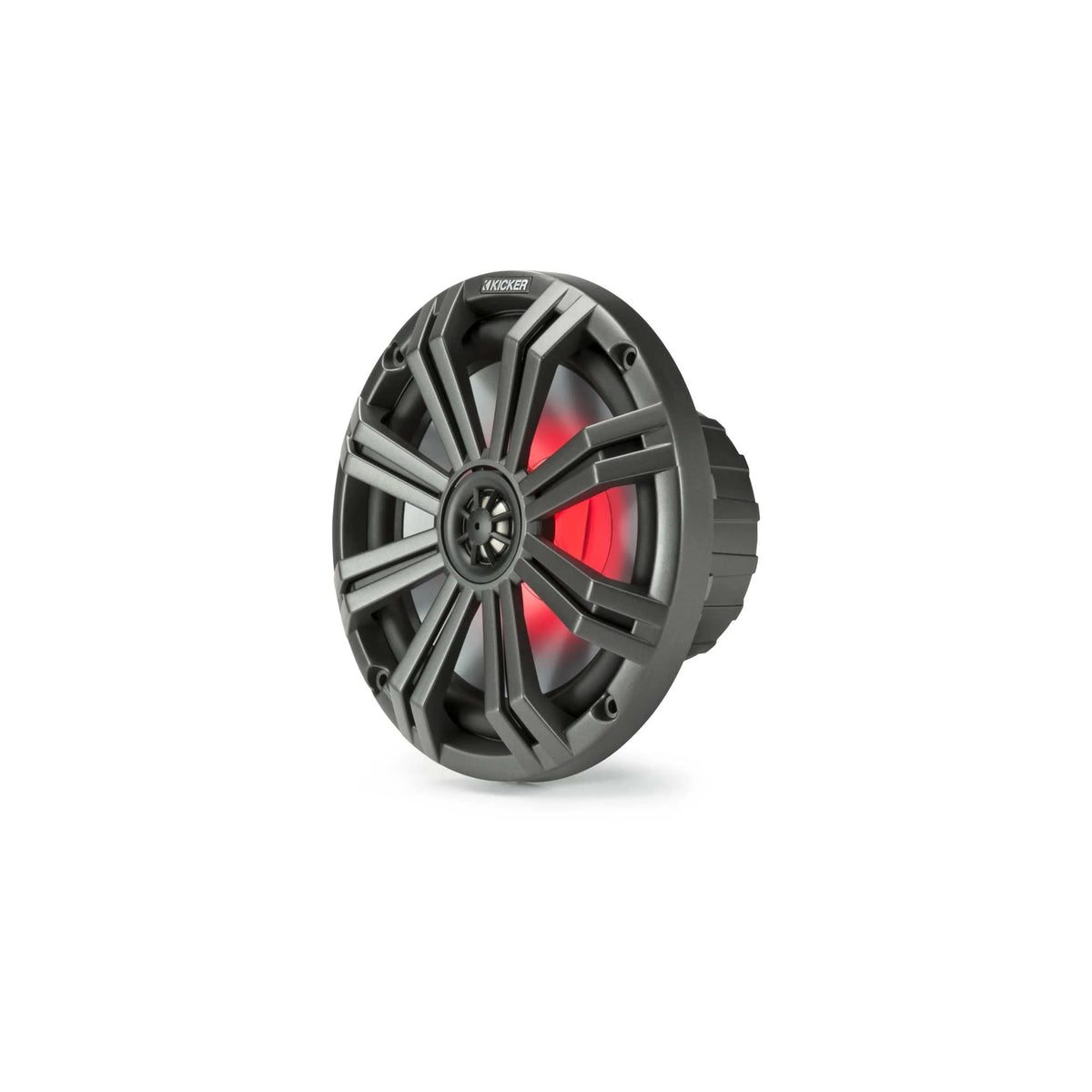 8 Inch Marine Speaker with LED Remote N93165