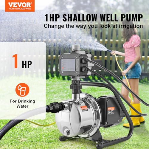 Shallow Jet Well Pump A68919