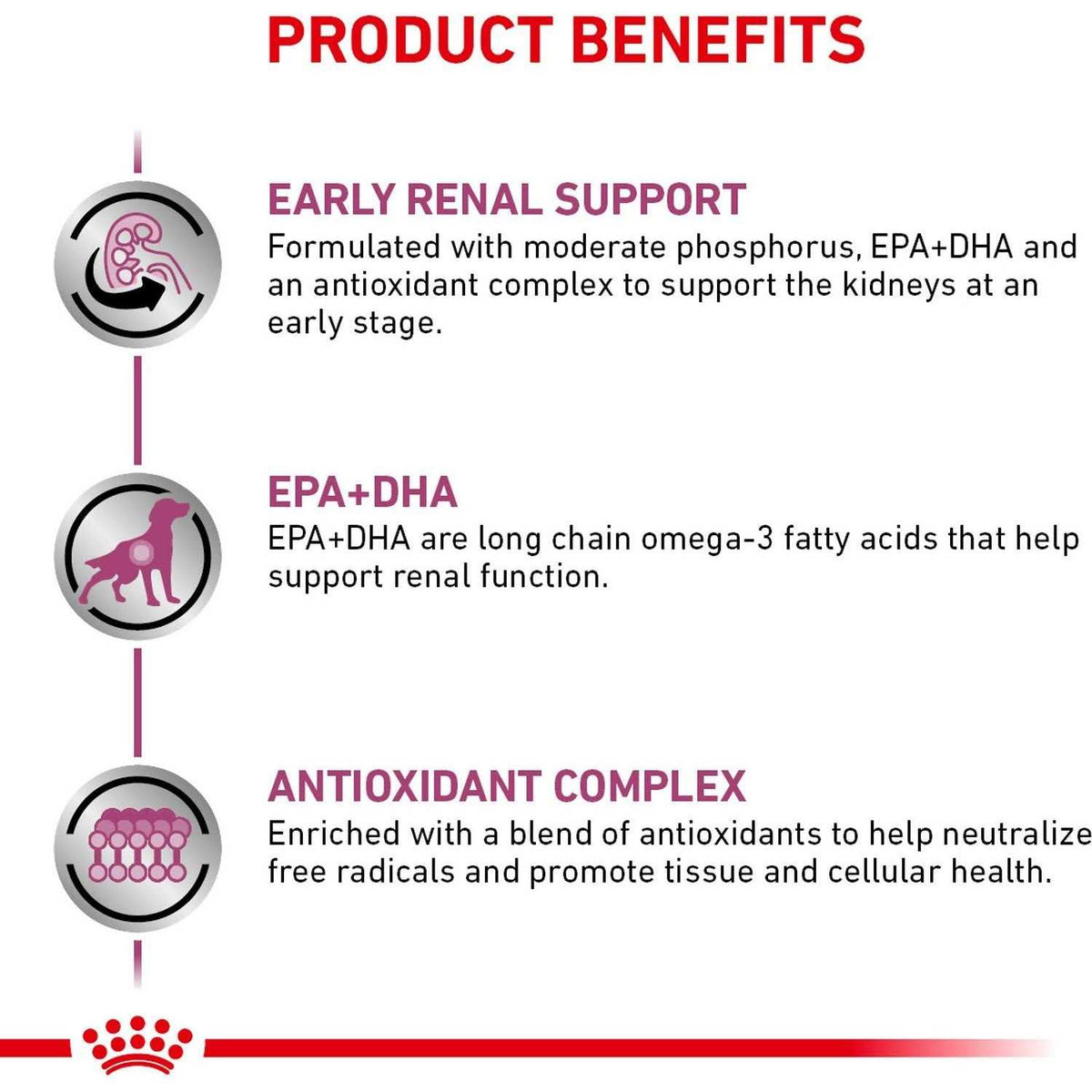 Renal Support Dry Dog Food L5171