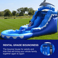Dolphin Commercial Grade Water Slide with Pool P3065