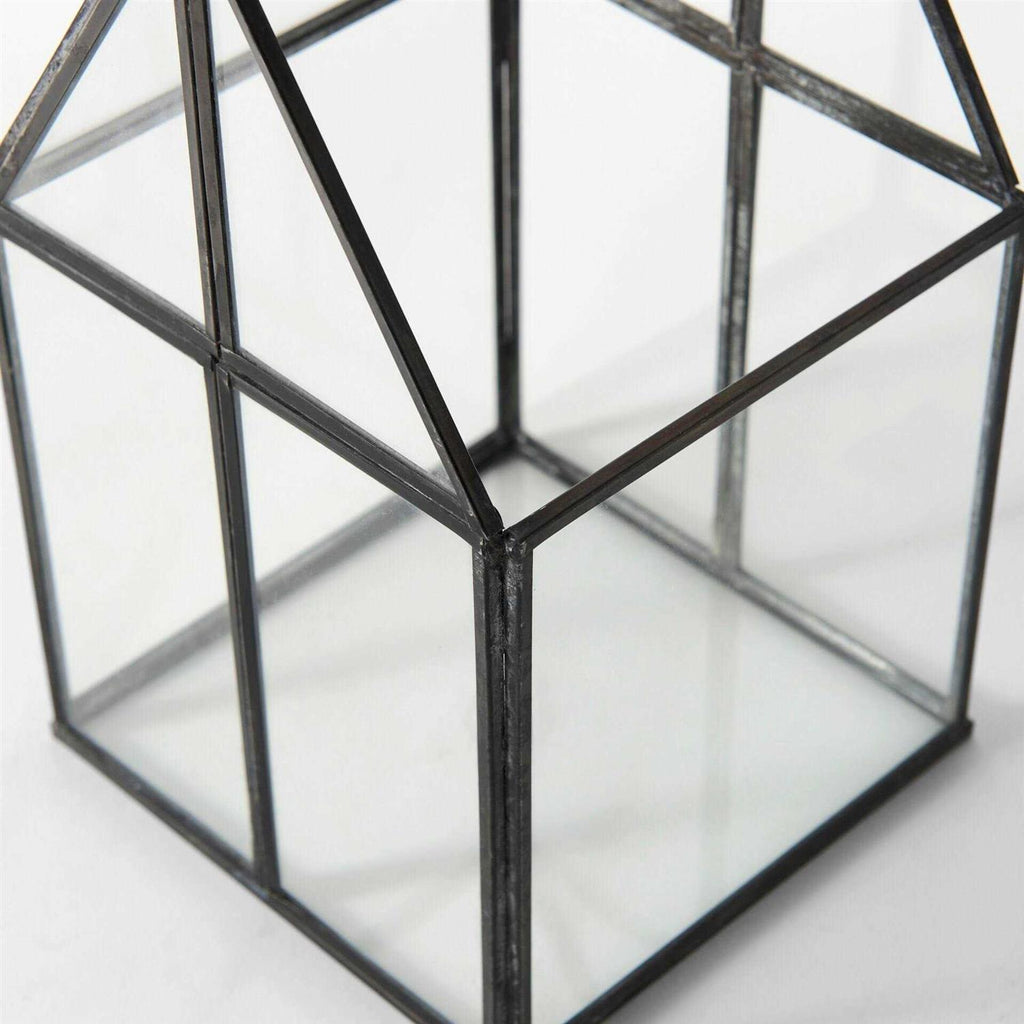 Glass Terrarium W578