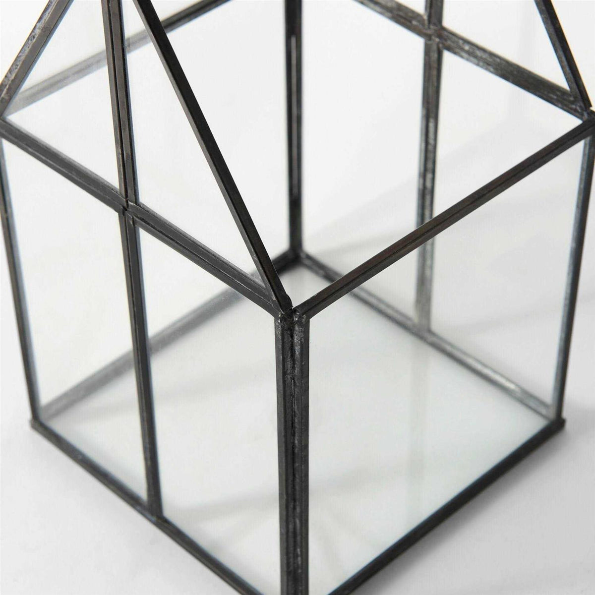 Glass Terrarium W578