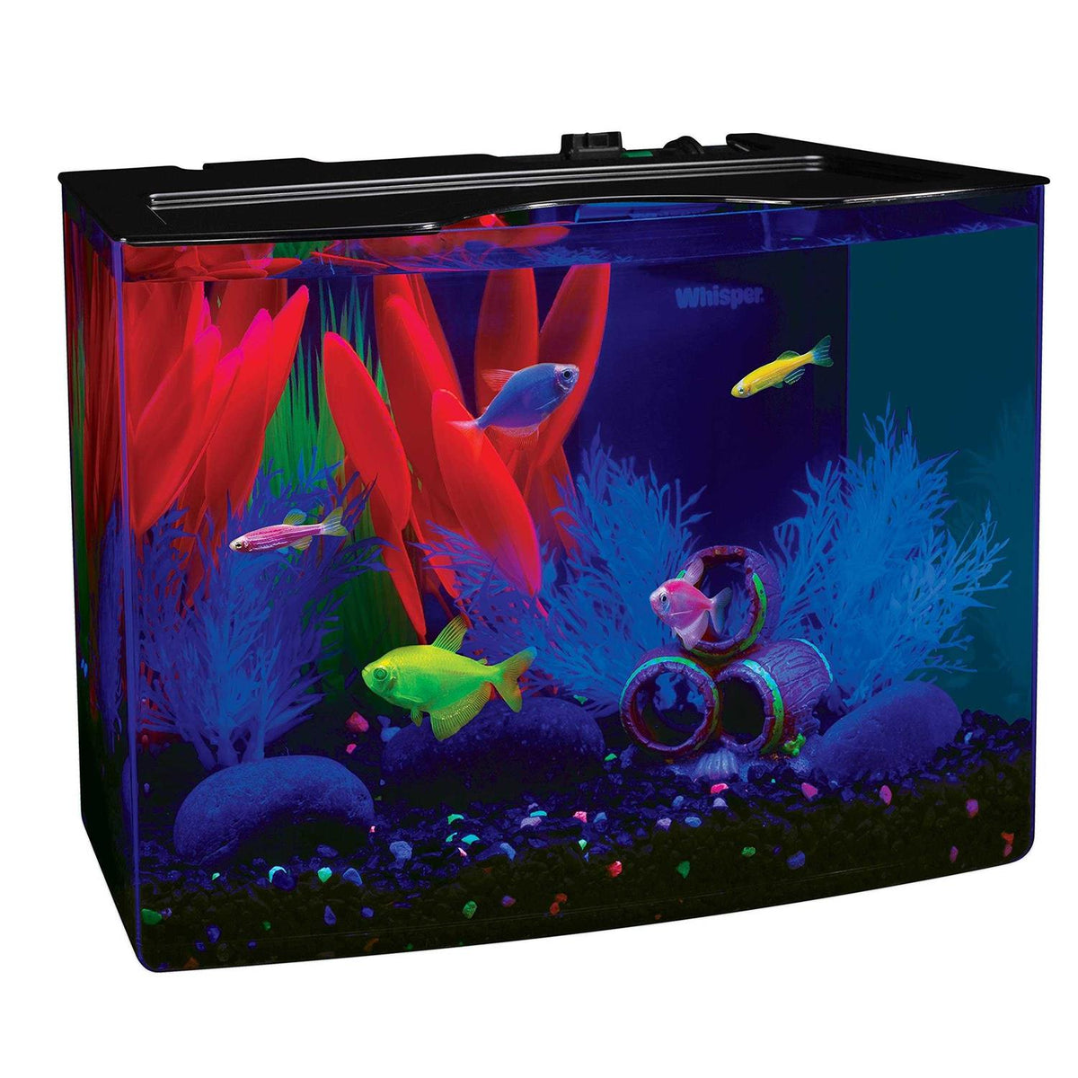 Aquarium Kit with Blue LED D487281