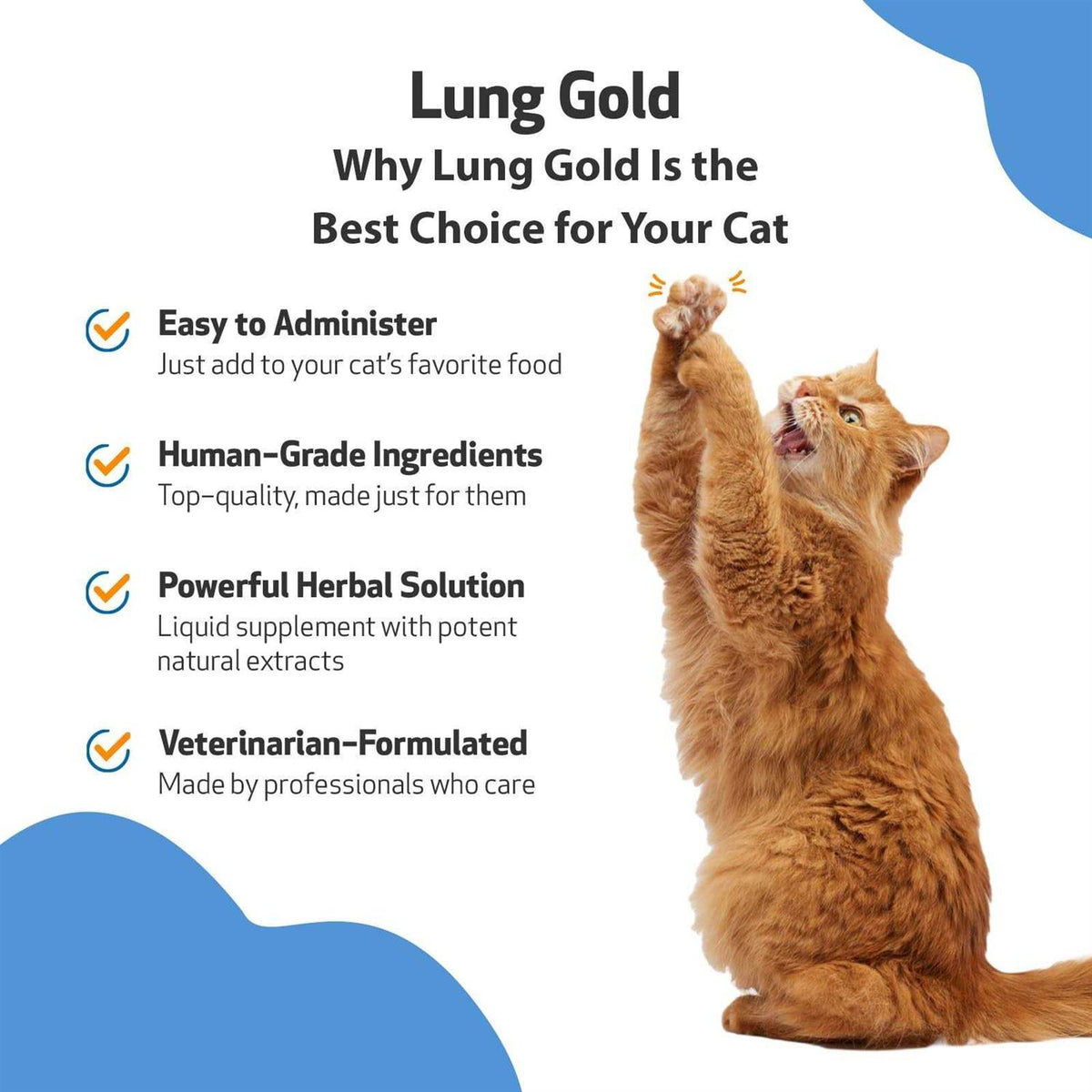 Lung Gold for Cats H26150