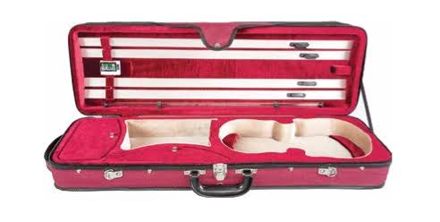 Green 4/4 Violin Case J584718