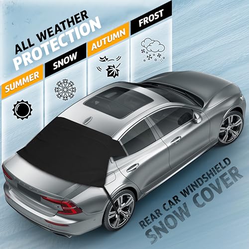 Rear Windshield Cover for Ice and Snow H770258