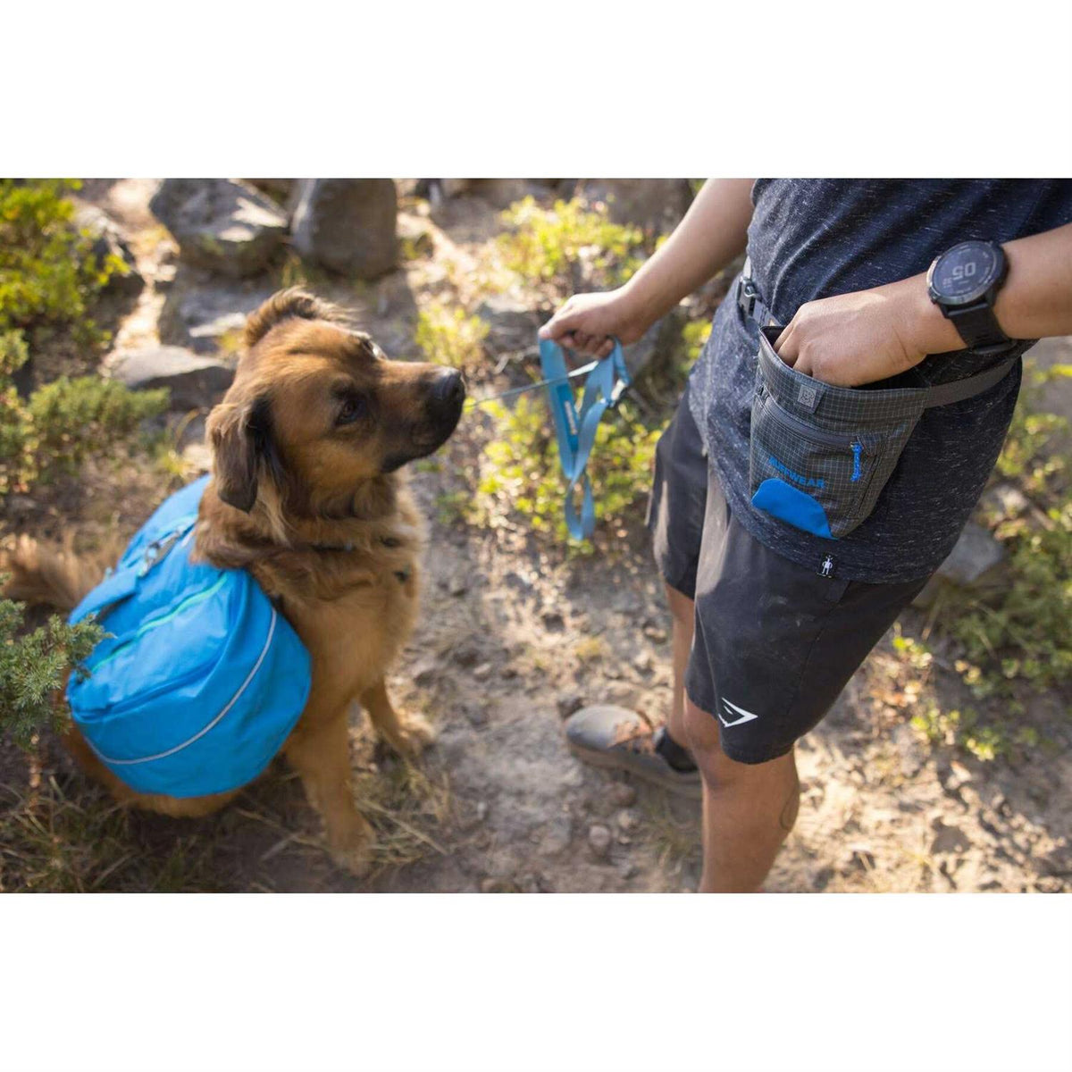 Pet Supplies S6540