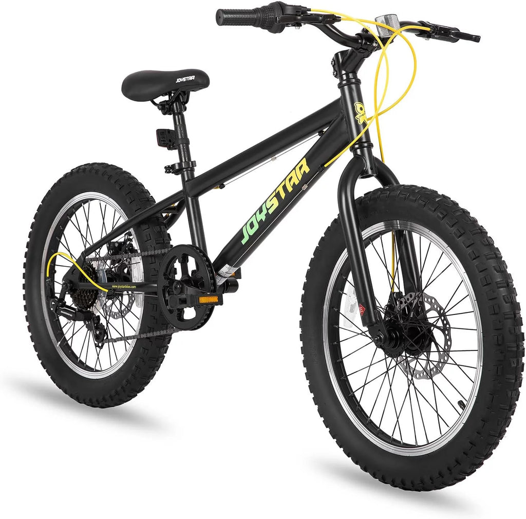 20 Inch 7 Speed Disc Brakes Fat Tire Kids Mountain Bike Z608296