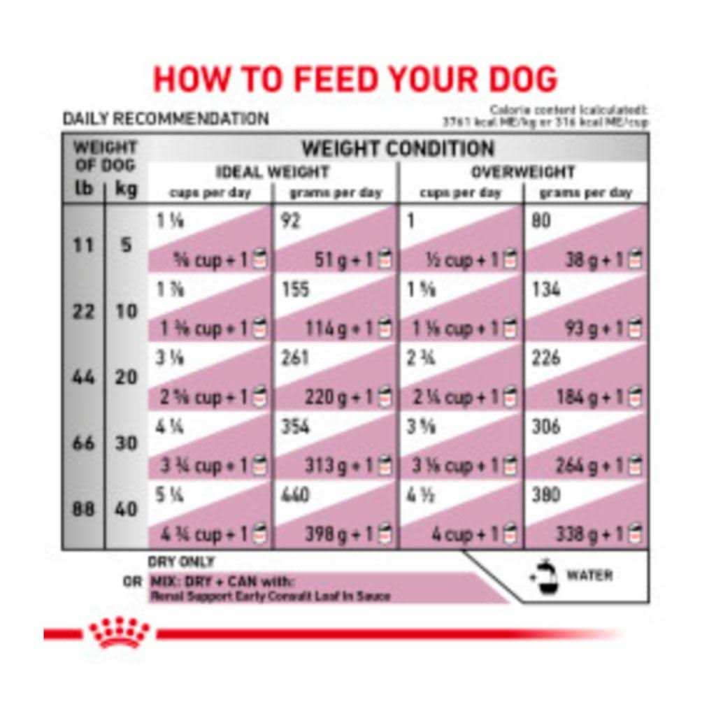 Renal Support Dry Dog Food L5171
