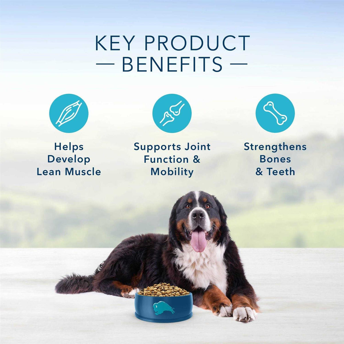 Fish & Brown Rice Adult Dry Dog Food H91321