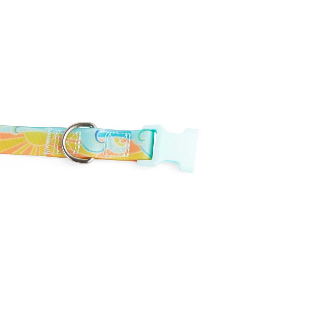 Wipeable Dog Collar U1260