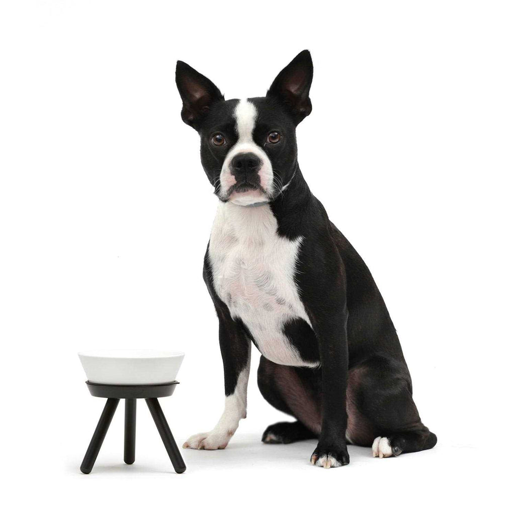Pet Supplies H491