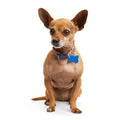 Dog Collar J984337