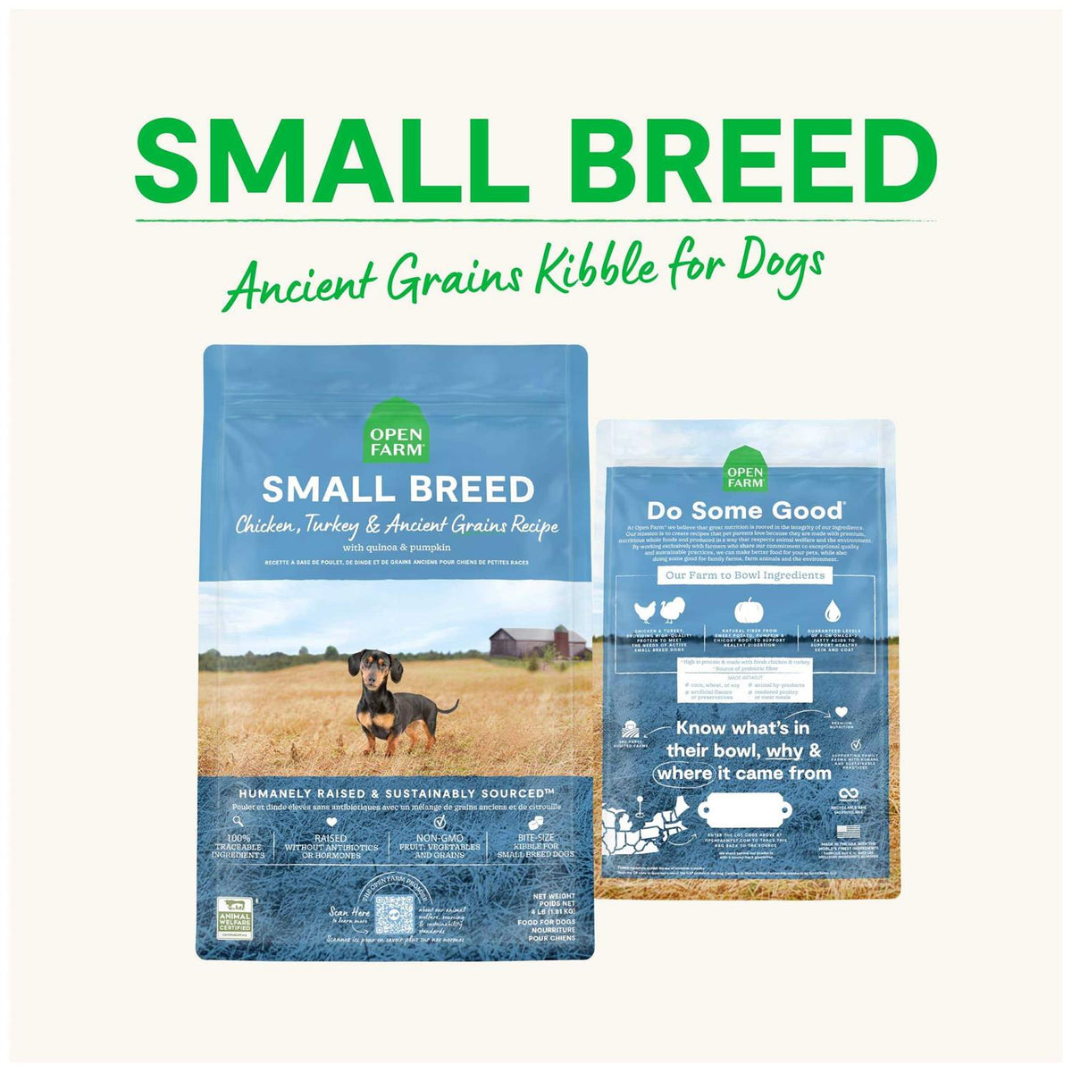 Ancient Grains Dry Dog Food O397920