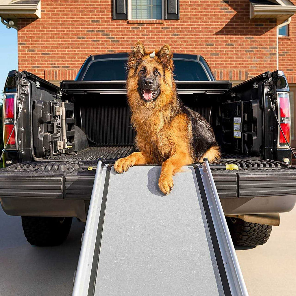 Telescoping Ramp X3699