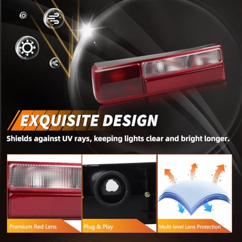 Smoked Lens Tail Light with Housing L855