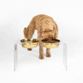 Large Clear Double Bowl Pet Feeder K509