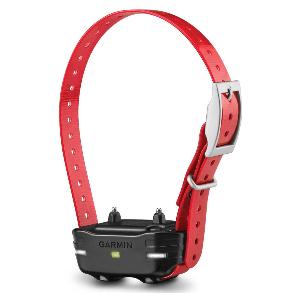 Dog Device Collar R5740