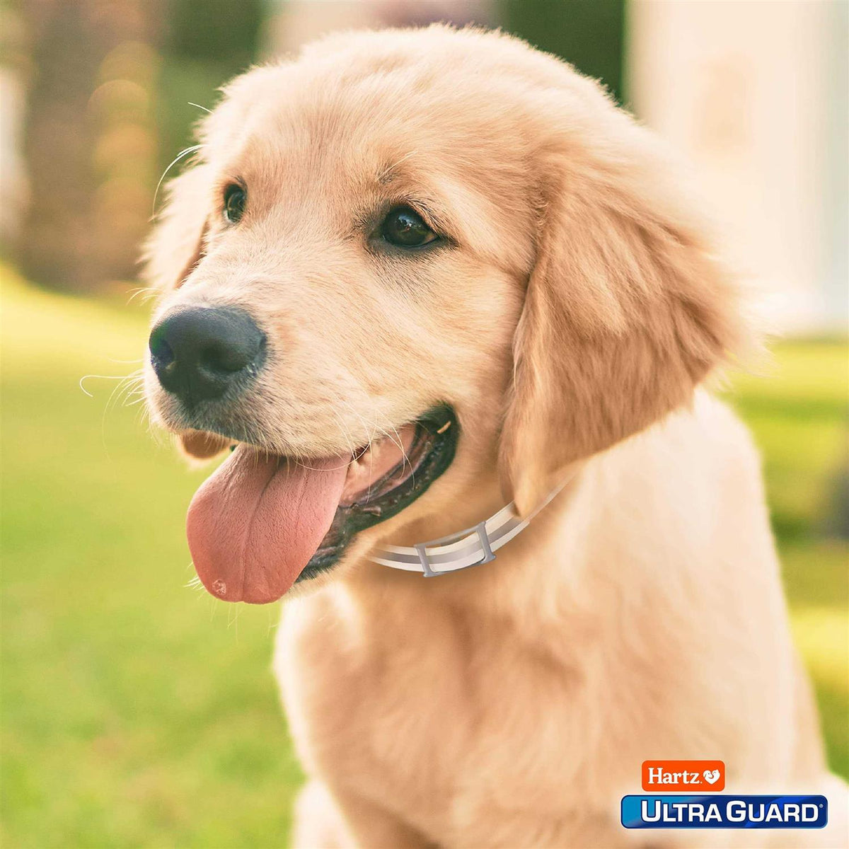 Flea & Tick Collar for Dogs H608