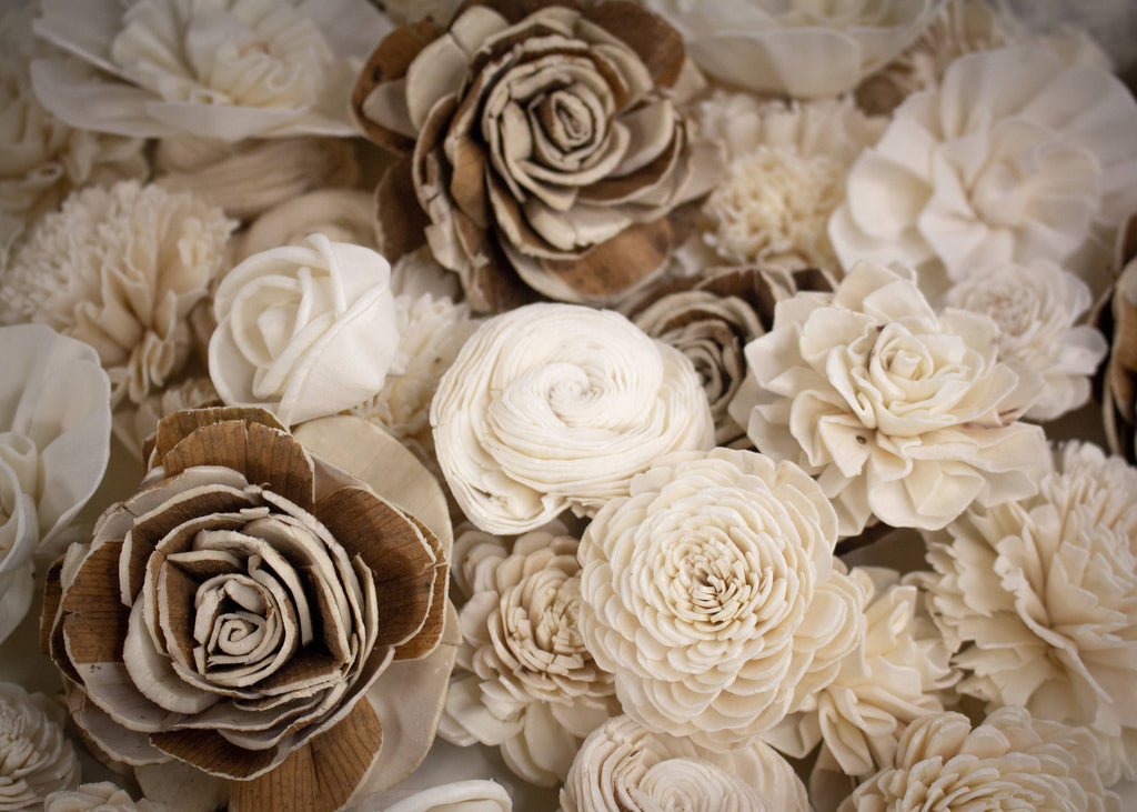 Sola Wood Flowers Pack of 50 G46919