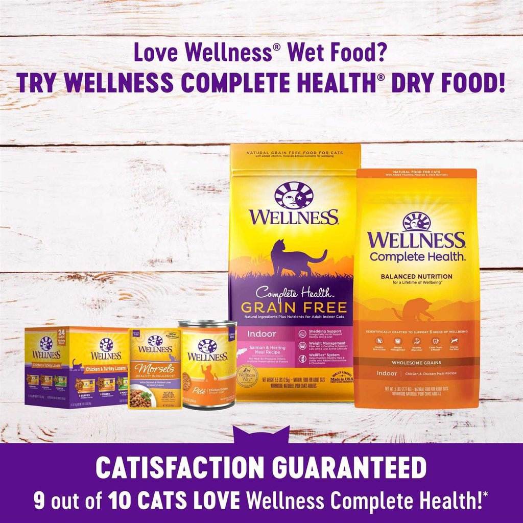 Grain Free Wet Cat Food Morsels Variety Pack J13290
