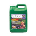 Antifreeze Case of 6 S3806
