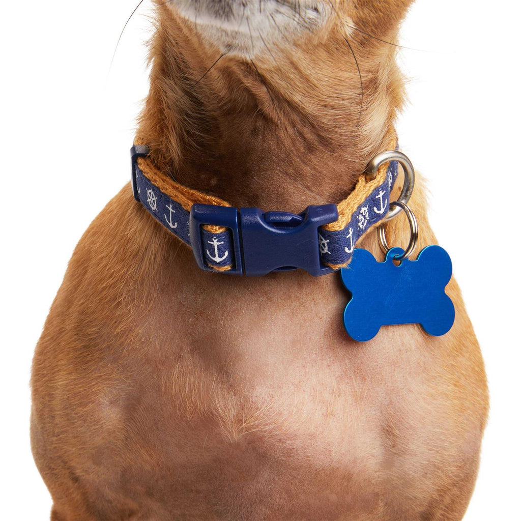 Dog Collar J984337