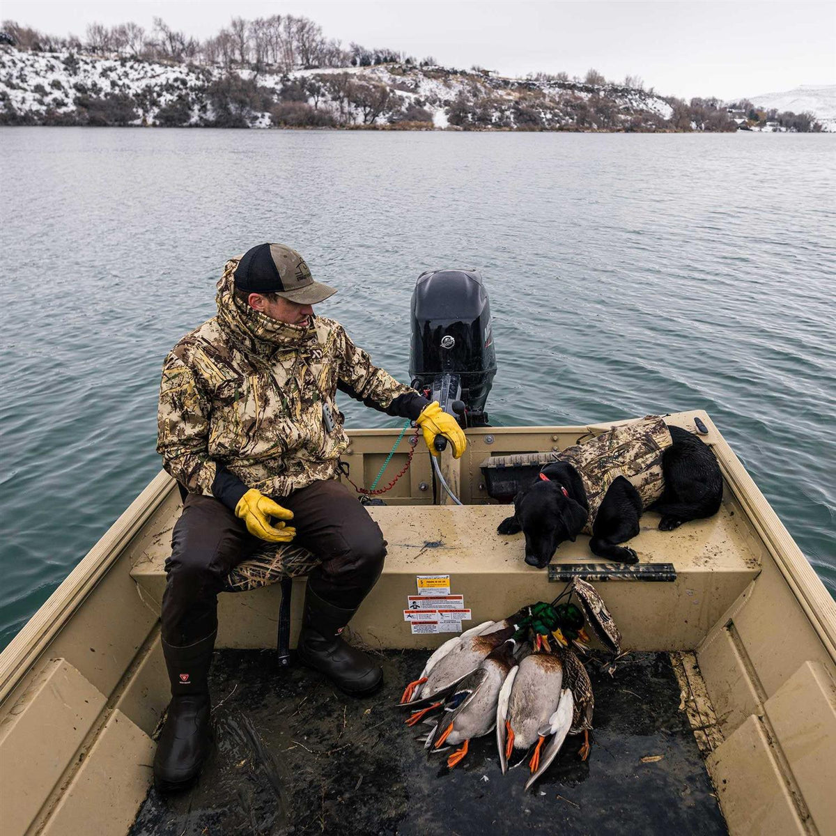 Dog Device Collar R5740