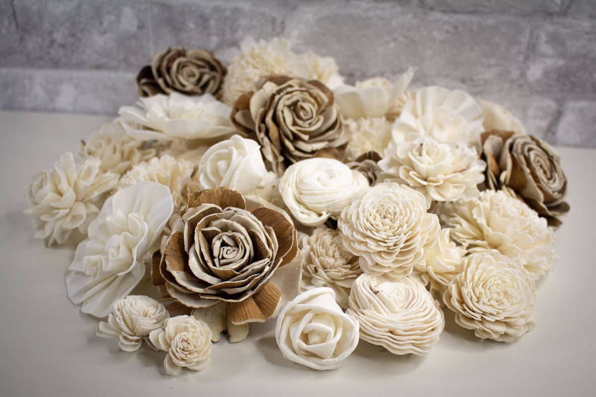 Sola Wood Flowers Pack of 50 G46919