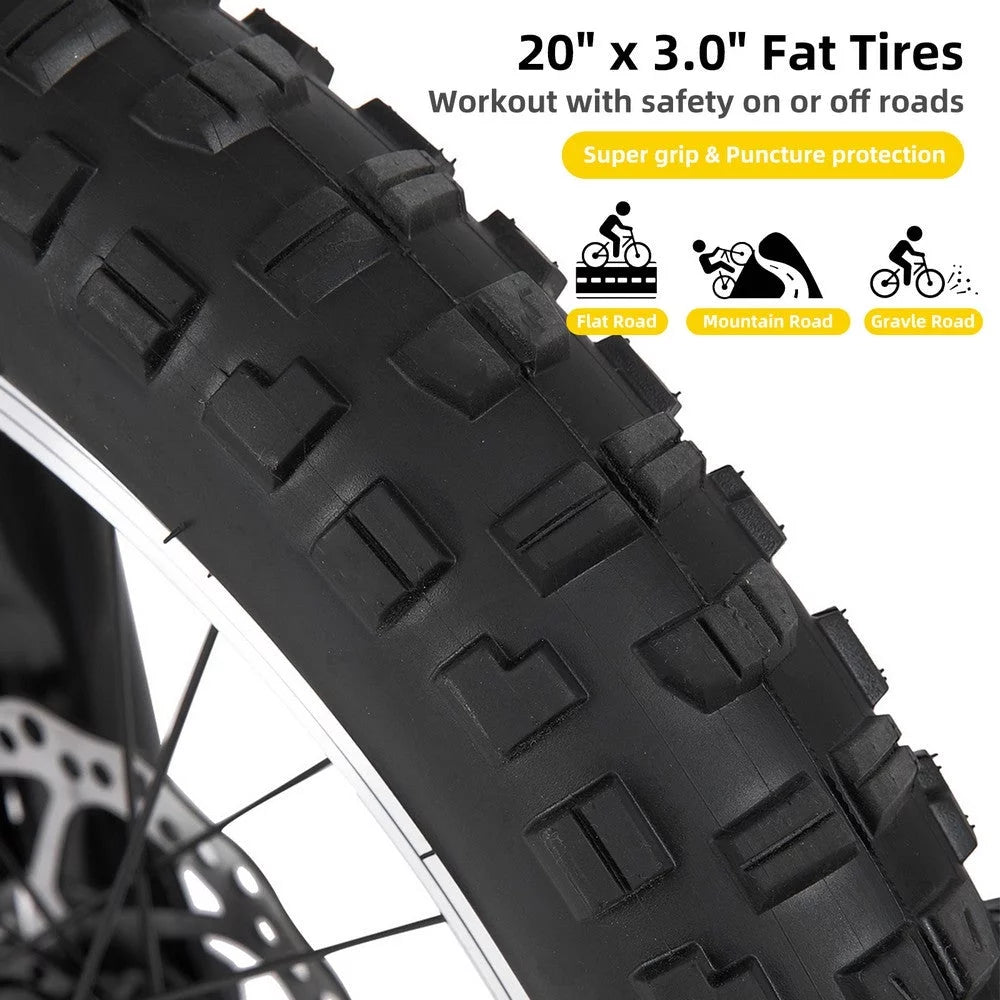 20 Inch 7 Speed Disc Brakes Fat Tire Kids Mountain Bike Z608296