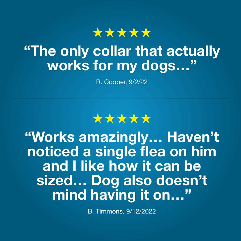 Flea and Tick Collar for Dogs A766