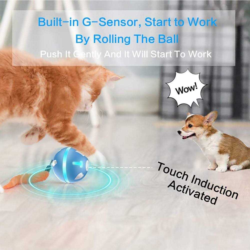 Interactive Dog Ball Toys T379