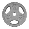 10 lb Standard 1-inch Grip Weight Plate B213