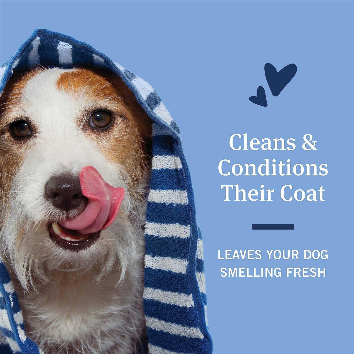 Flea and Tick Shampoo for Dogs X2343