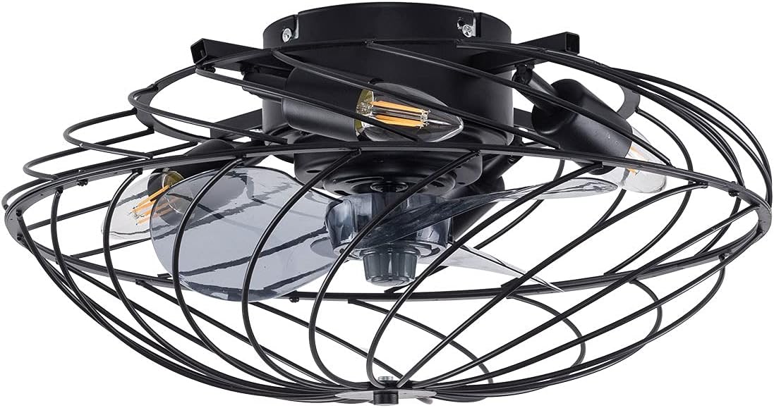 Black Enclosed Ceiling Fan with Light R7853