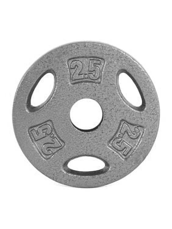 10 lb Standard 1-inch Grip Weight Plate B213