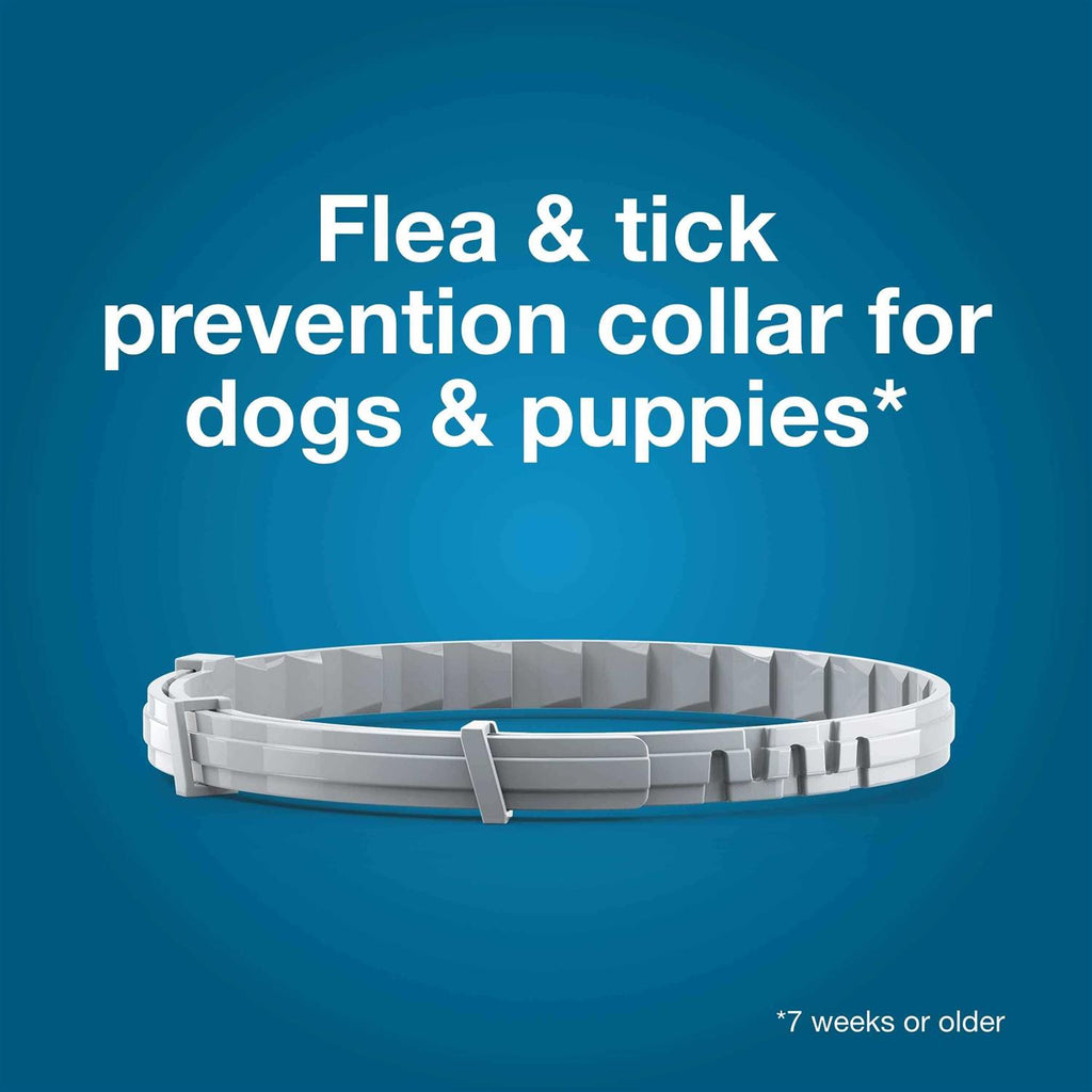 Flea and Tick Collar for Dogs A766