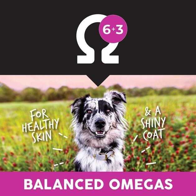 Lamb Meal & Rice Dry Dog Food P4329