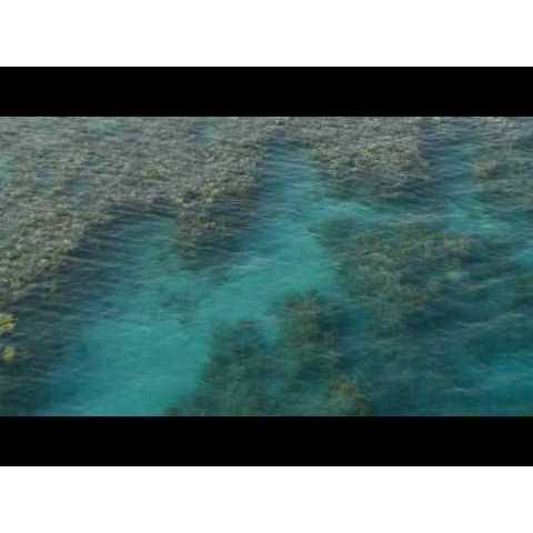 Red Sea Coral Pro Salt P31585