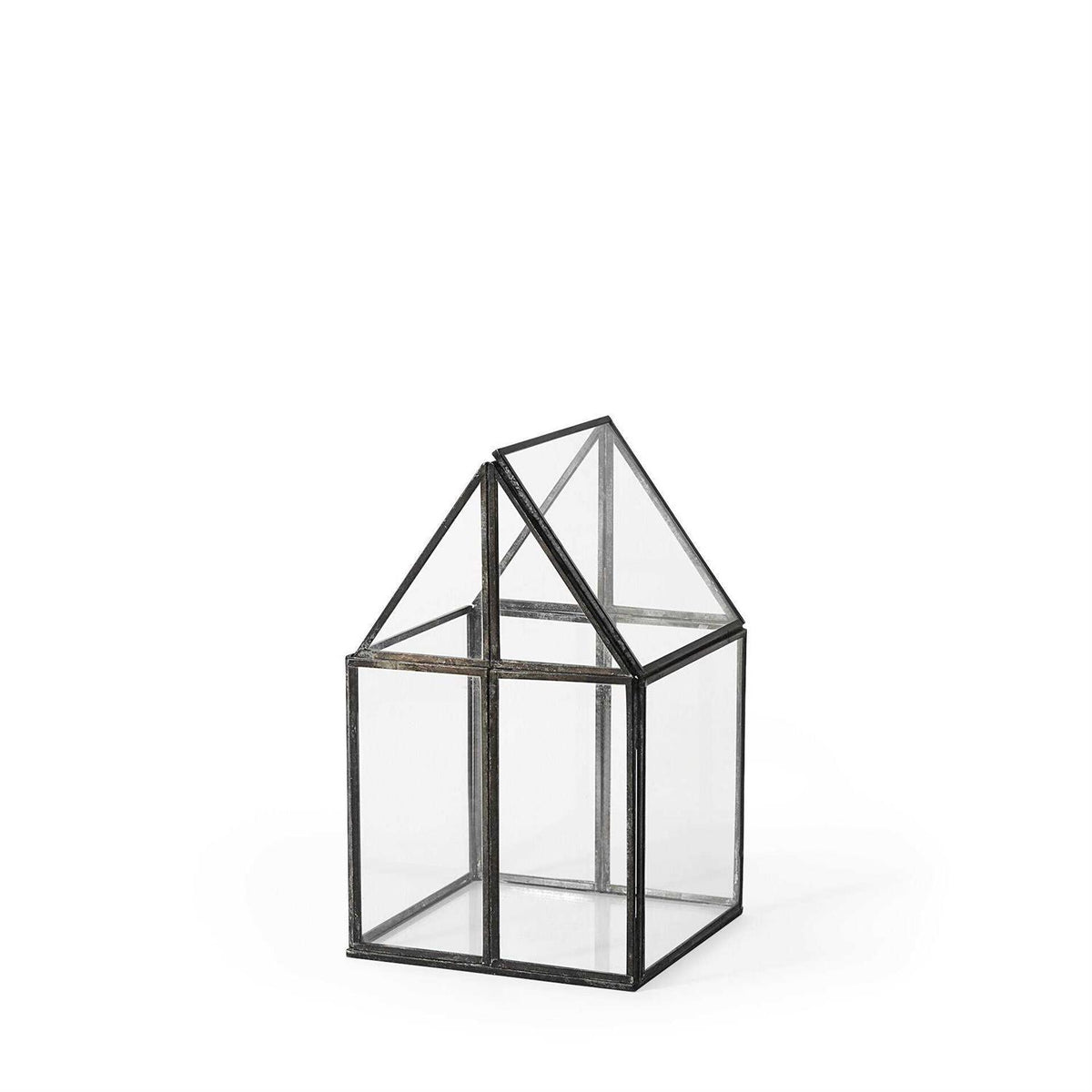 Glass Terrarium W578