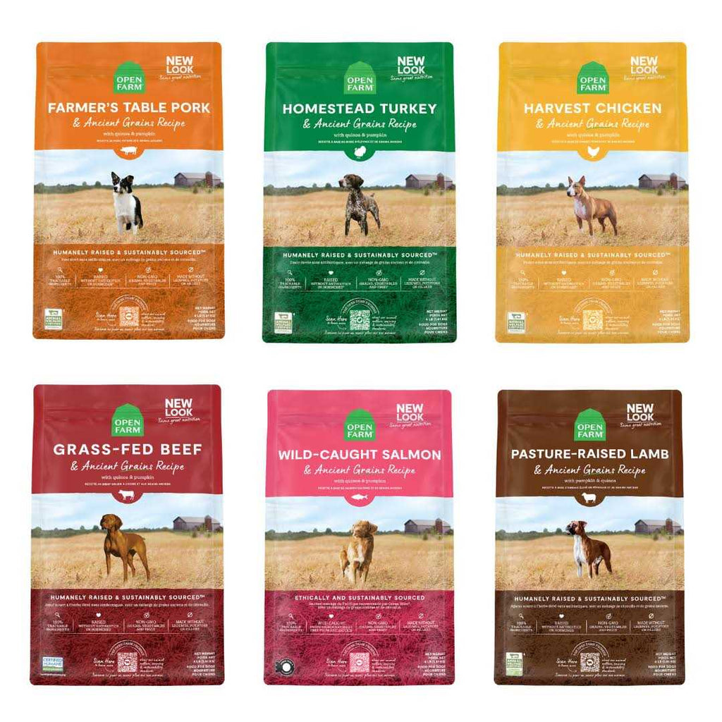 Ancient Grains Dry Dog Food O397920
