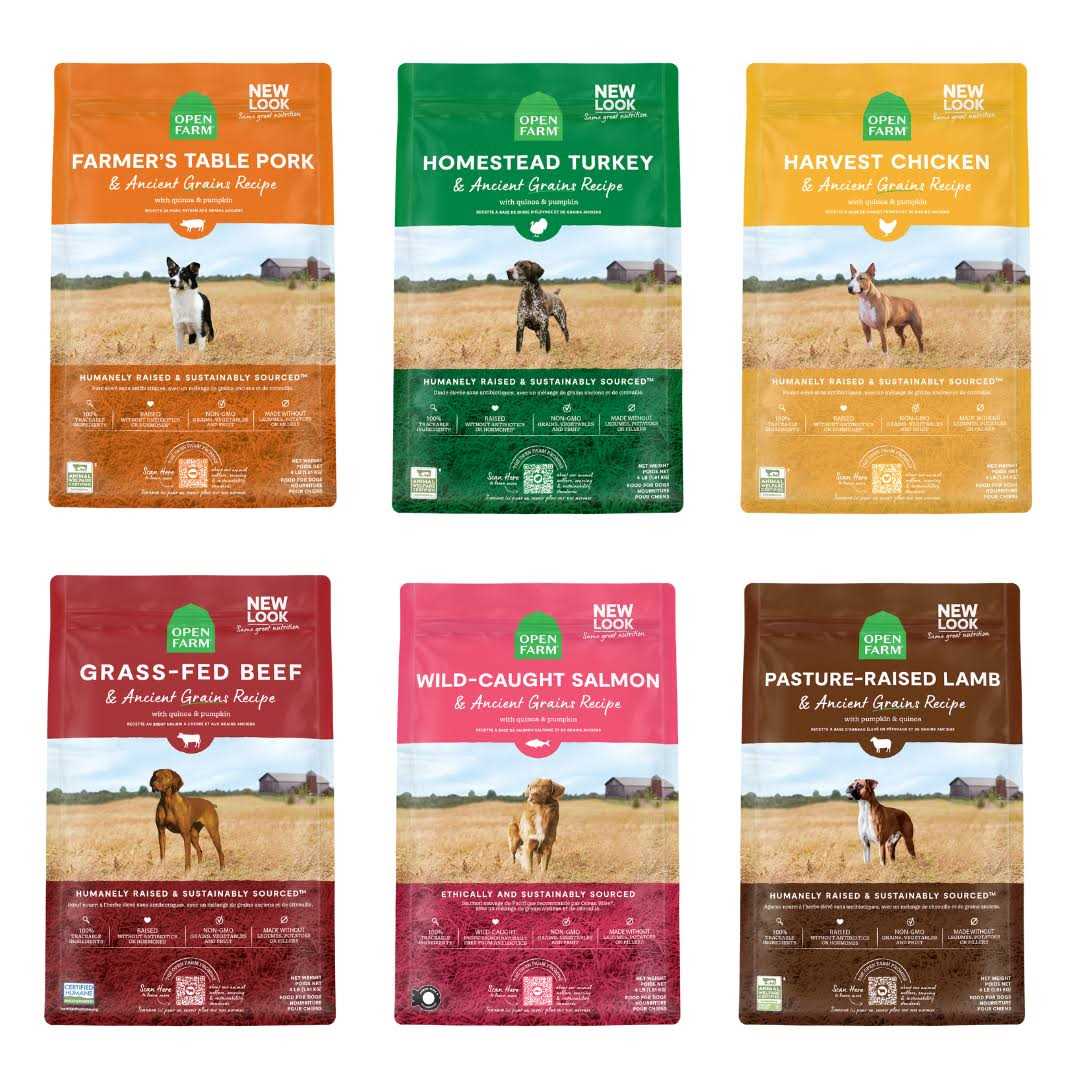 Ancient Grains Dry Dog Food O397920