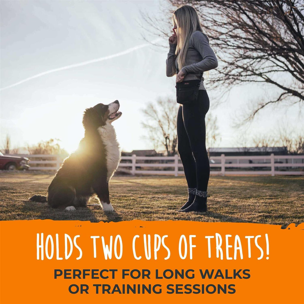 Dog Treat Pouch D5363