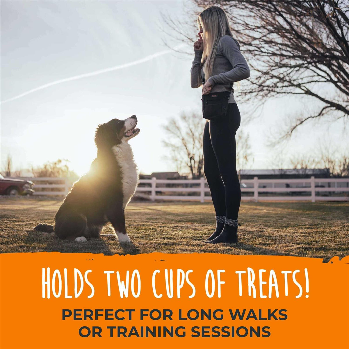 Dog Treat Pouch D5363