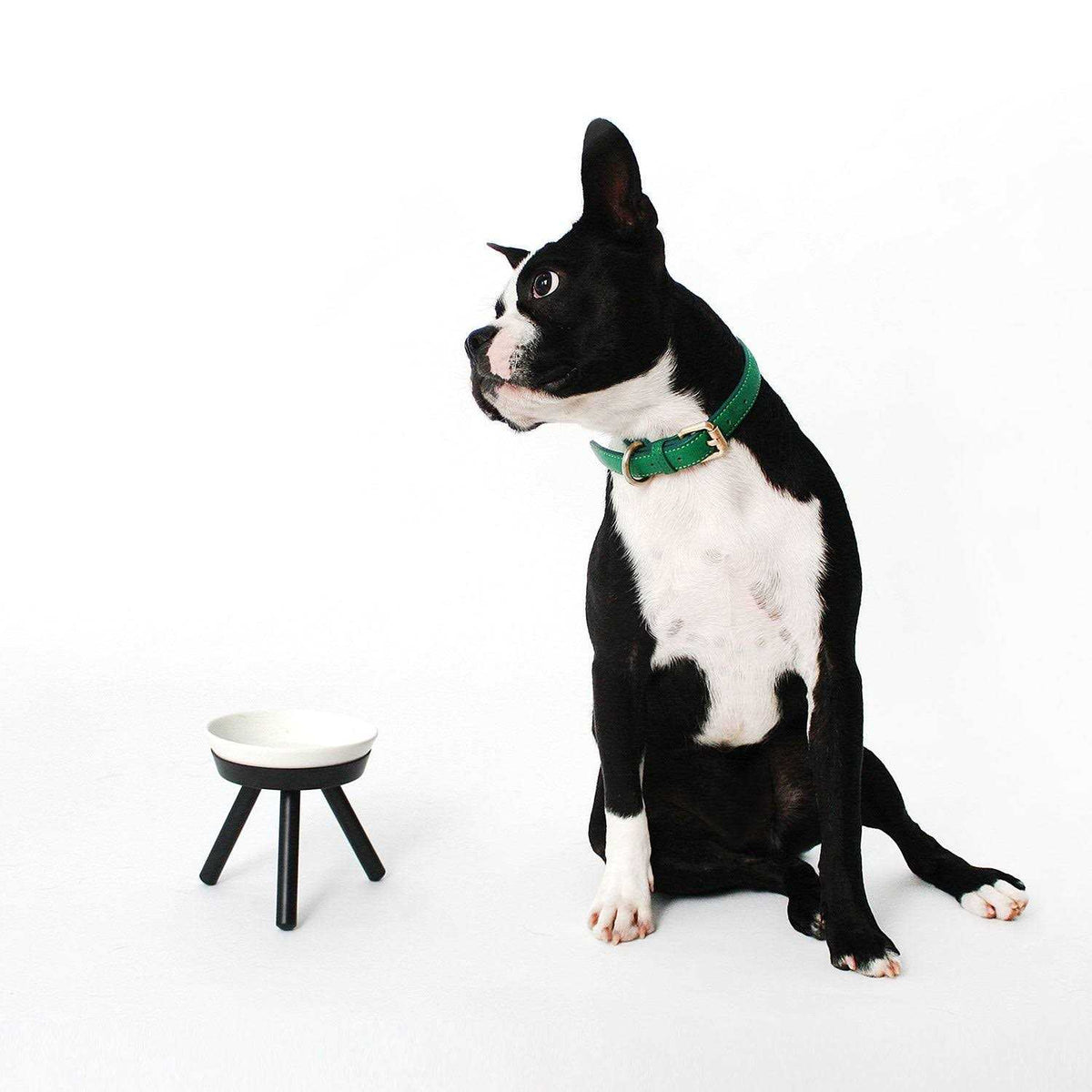 Pet Supplies H491