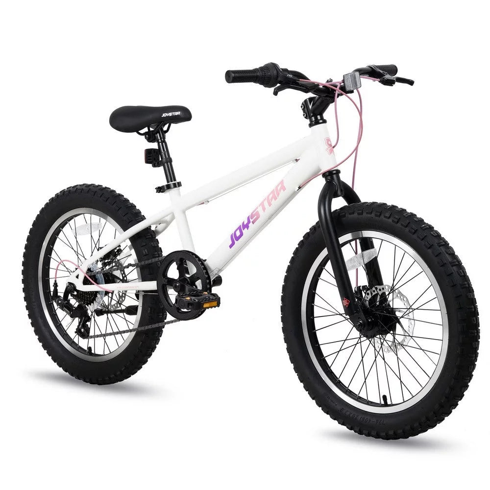 20 Inch 7 Speed Disc Brakes Fat Tire Kids Mountain Bike Z608296