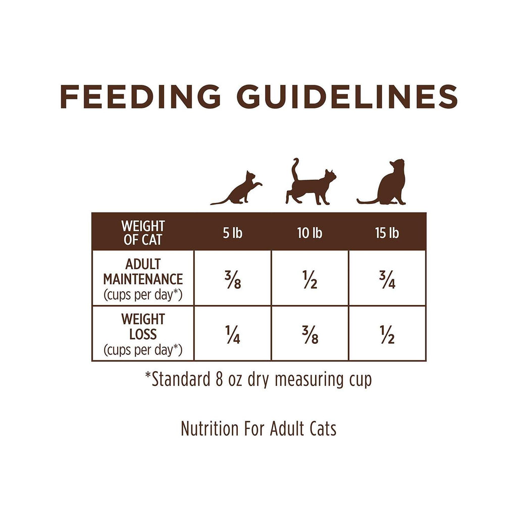 Grain Free Salmon Dry Cat Food I65890