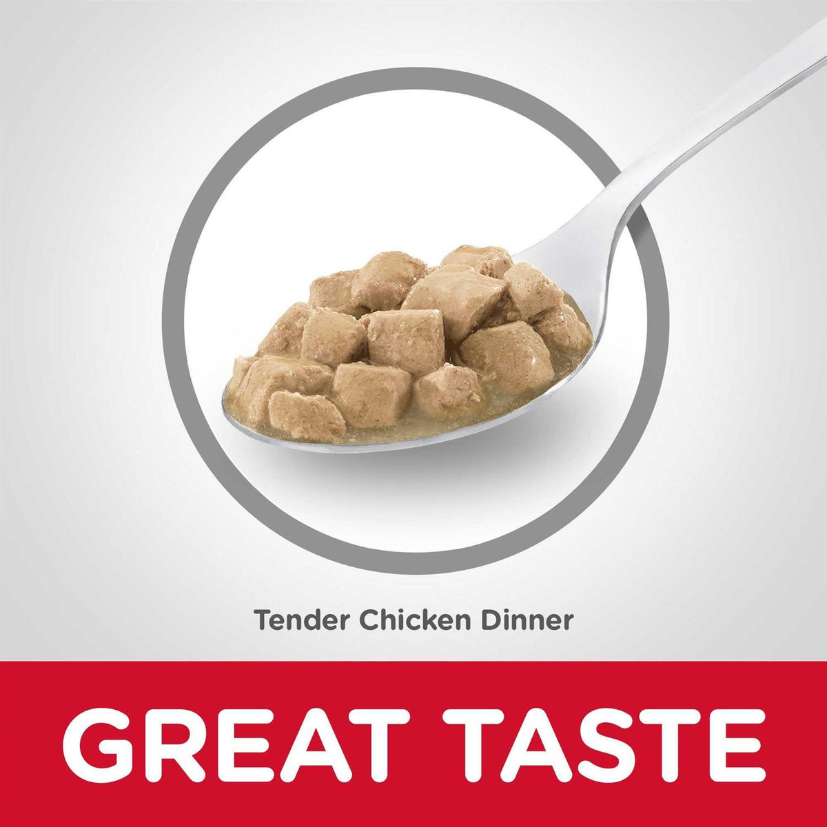 Kitten Wet Cat Food O6998