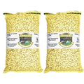Extra Large Virginia Peanuts G63176