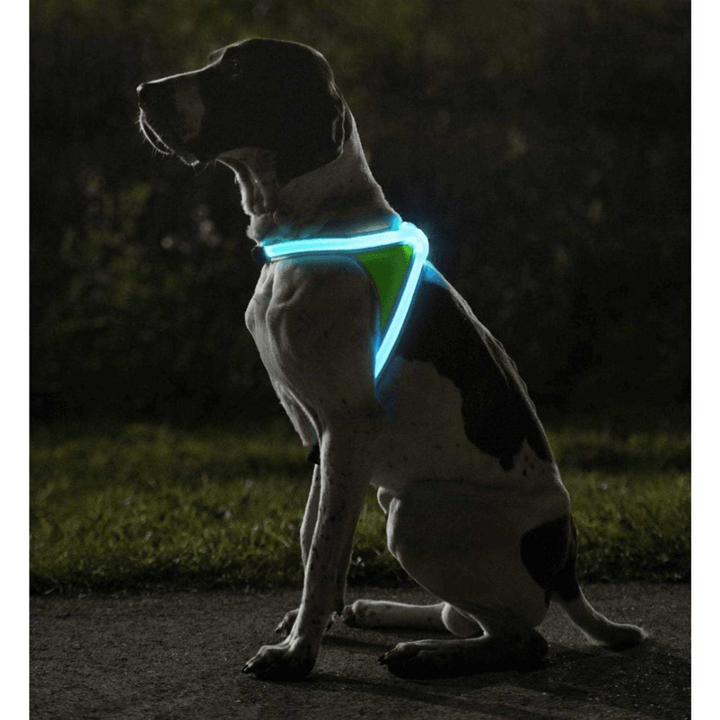 LED Reflective Dog Harness A717831